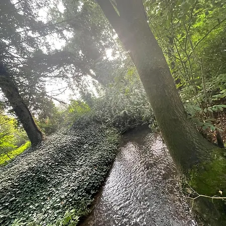 Muehlradblick Fritzlar